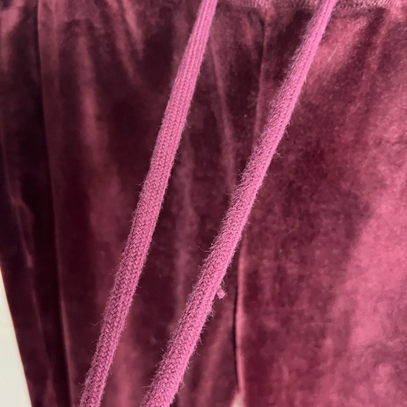 Sanctuary | Velour Jogger Pants | Red large - Picture 7 of 11